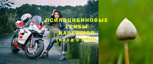 Альфа ПВП Алексин