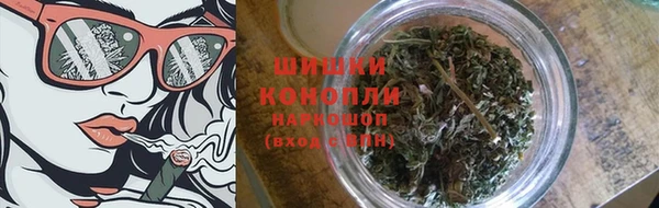 PSILOCYBIN Абаза