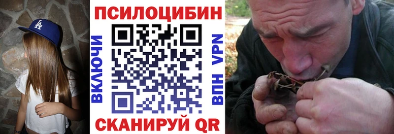 Псилоцибиновые грибы Magic Shrooms  что такое   Шали 